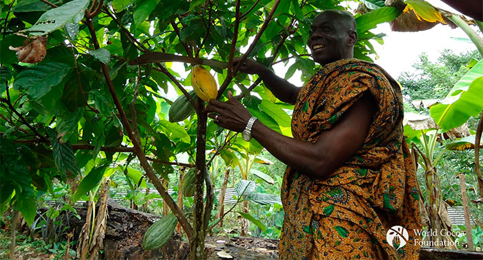 cocoa farmers. World Cocoa Foundation