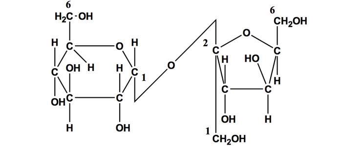 Estructura de la sacarosa