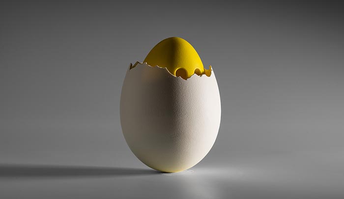 huevo tentetieso de Enric Monzonis