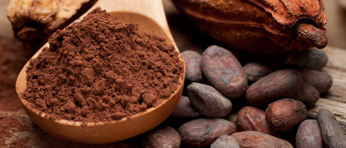 El cacao natural ayuda a reducir la incidencia de enfermedades crónicas 