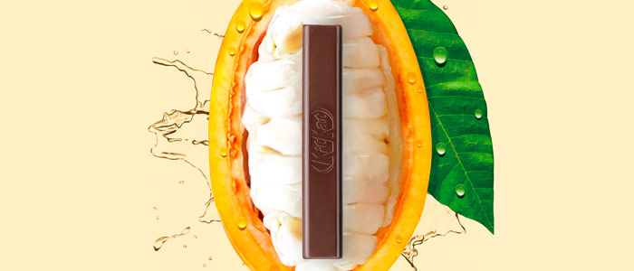 Nestlé crea el primer chocolate negro 70% elaborado solo con el fruto del cacao
