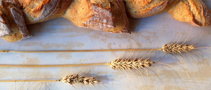 Desmontando seis mitos sobre el pan