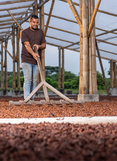 República del Cacao. De Ecuador al mundo