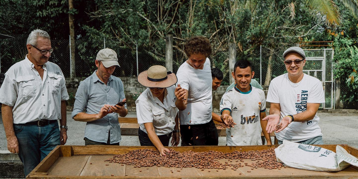 Plantación de cacao en Guatemala