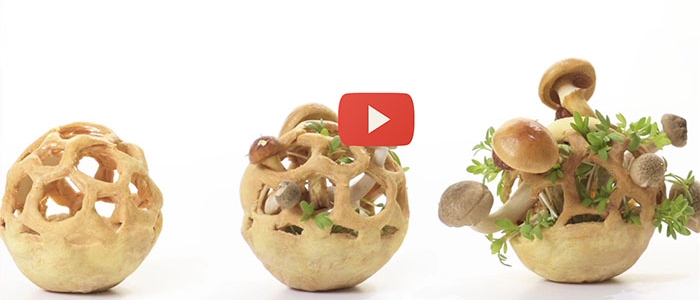 Edible Growth, tartaletas saludables y sostenibles en 3D