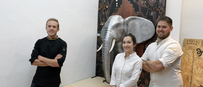 El elefante de chocolate de Lluc Crusellas se instala permanentemente en el Museu de la Xocolata