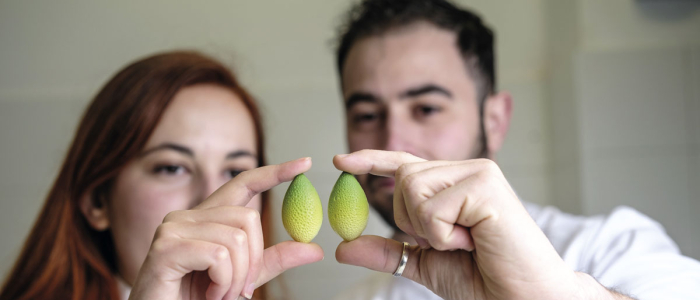 "Intentamos hacer una pastelería que deje huella en nuestros clientes”