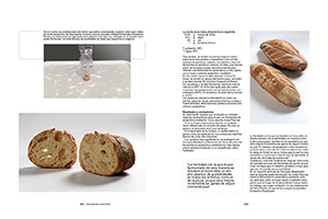 Fermentación anaeróbica resiliente, un nuevo horizonte para el pan