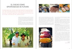 El cacao como oportunidad única